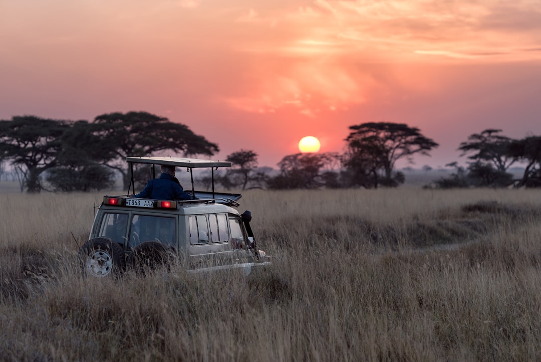 Collette Luxury Safari
